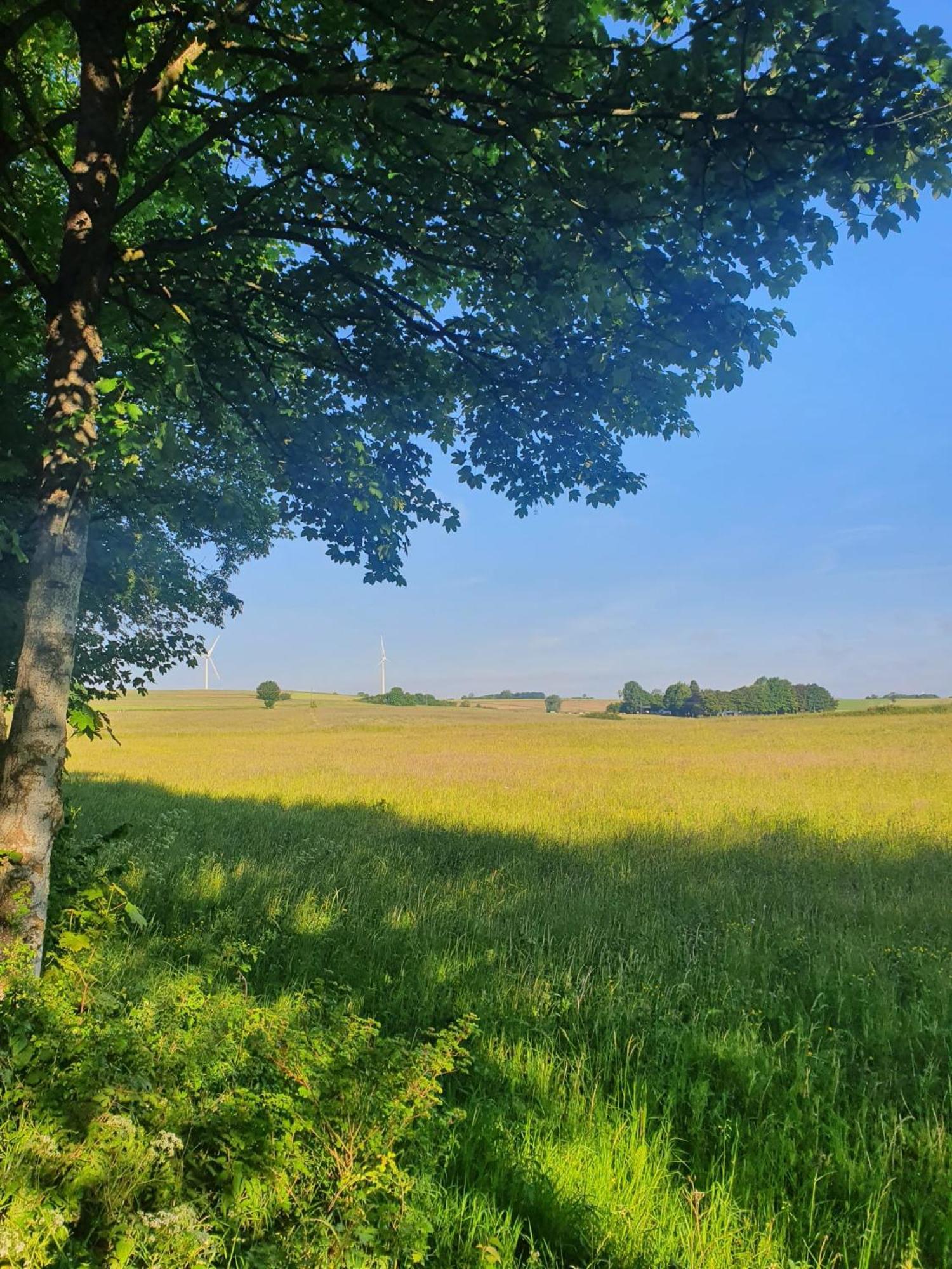 Schoene Aussicht Nettersheim Exteriör bild